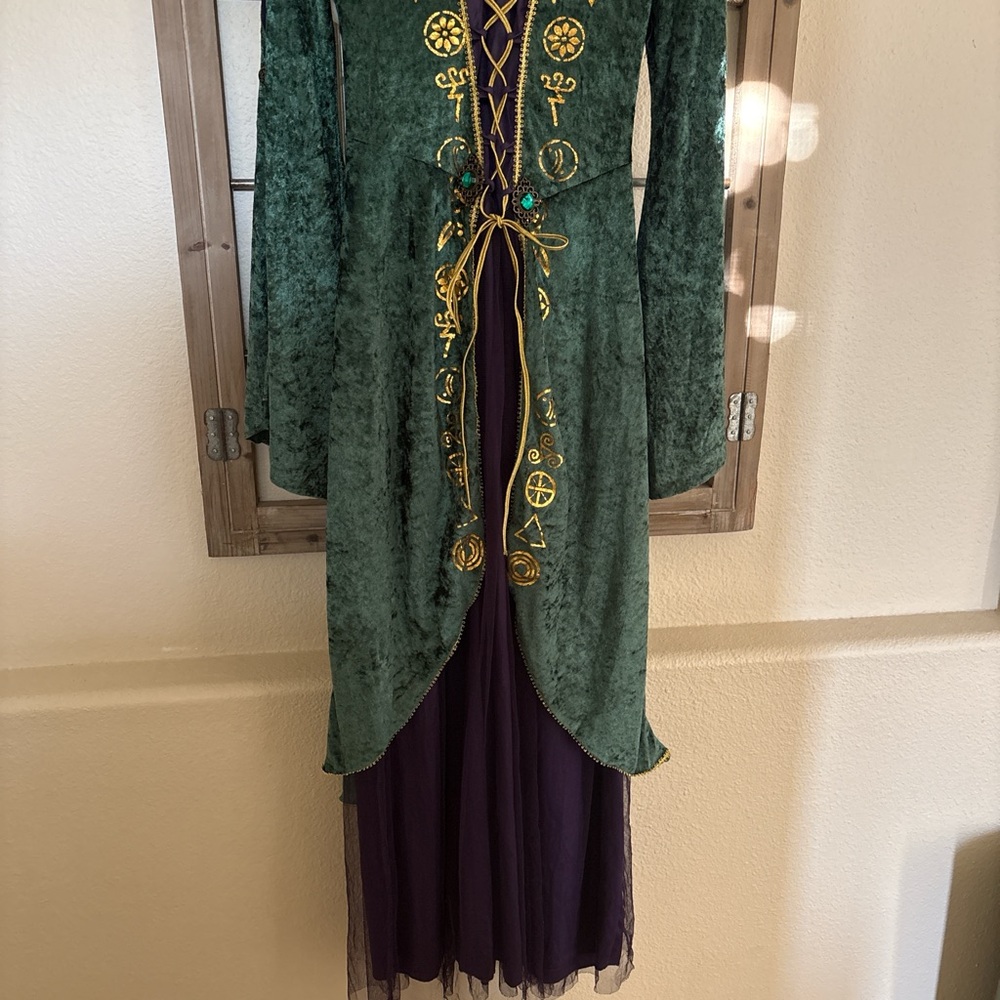 Hocus Pocus Winifred Sanderson Costume + Wig - Picture 4 of 7